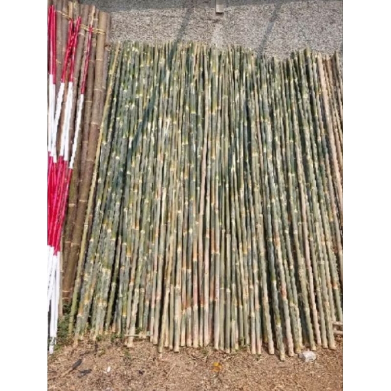 Terbaru ready bambu apus tiang bendera bisa untuk baliho,tongkat Pramuka,jemuran panjang 250 cm bamb
