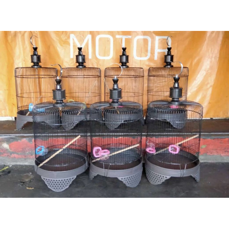 Kurungan besi tebal cebol untuk perkutut&lovebrid