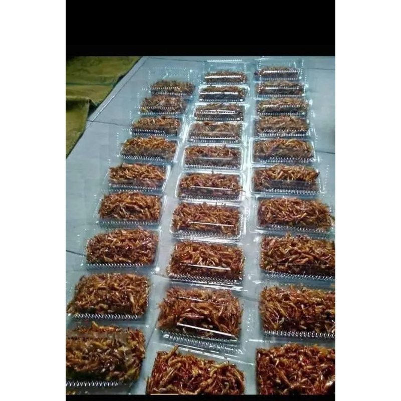 

belalang goreng