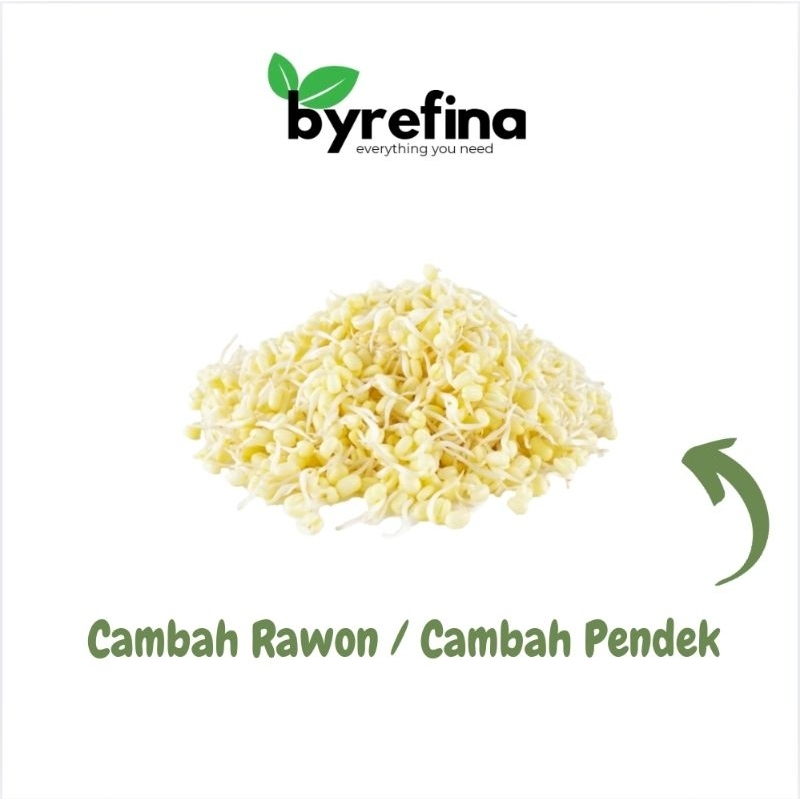 

Cambah Pendek Rawon 100gr Surabaya / Byrefina