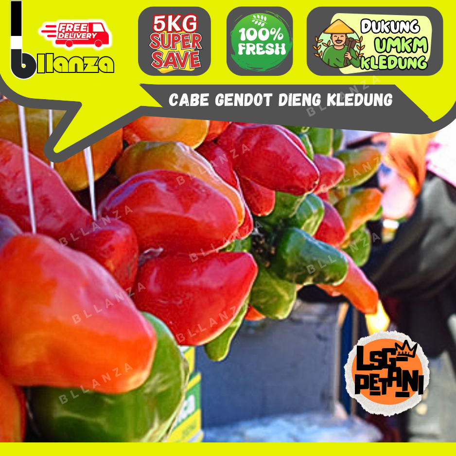 

Bllanza | Cabe Gendot Dieng [ MERAH ] — GROSIR Lsg Dieng (X)