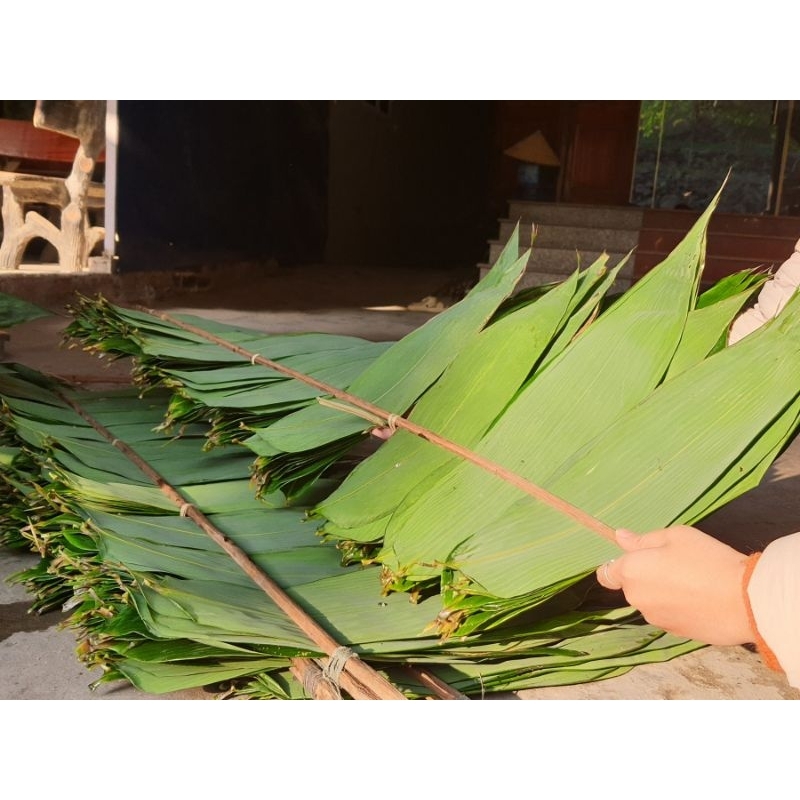 

DAUN BAMBU LEBAR FRESH 500 LEMBAR+BONUS