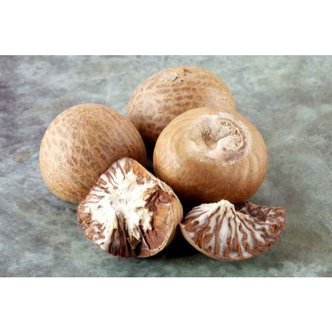 

Biji Pinang Kering (Areca catechu L)