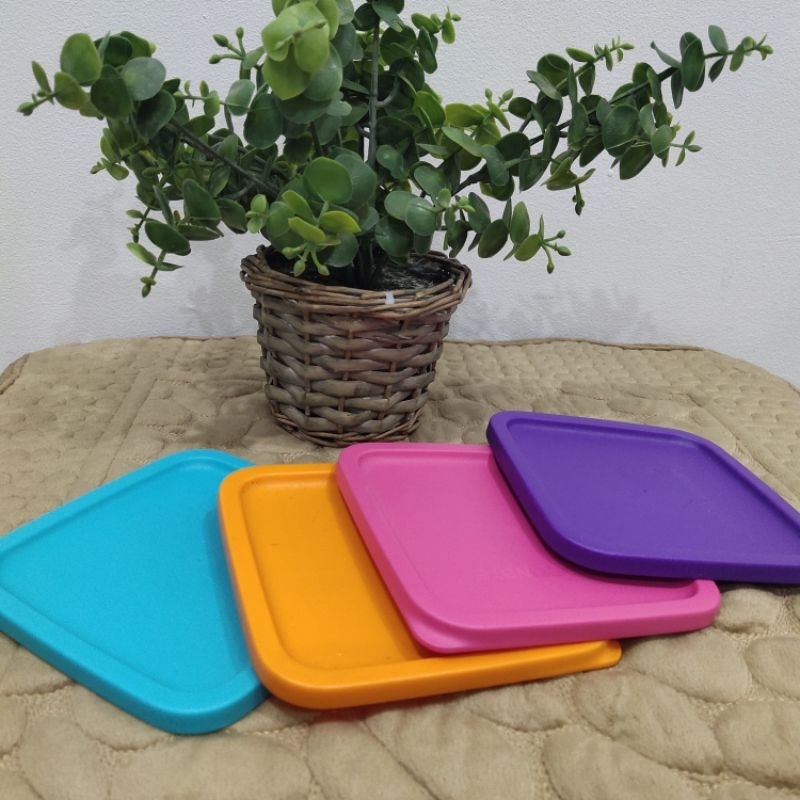 Seal summer Tupperware