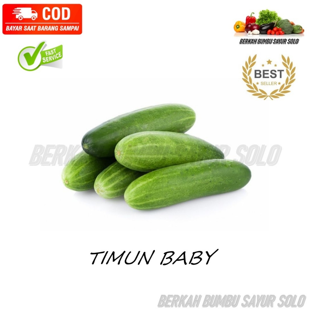 

TIMUN BABY (6)