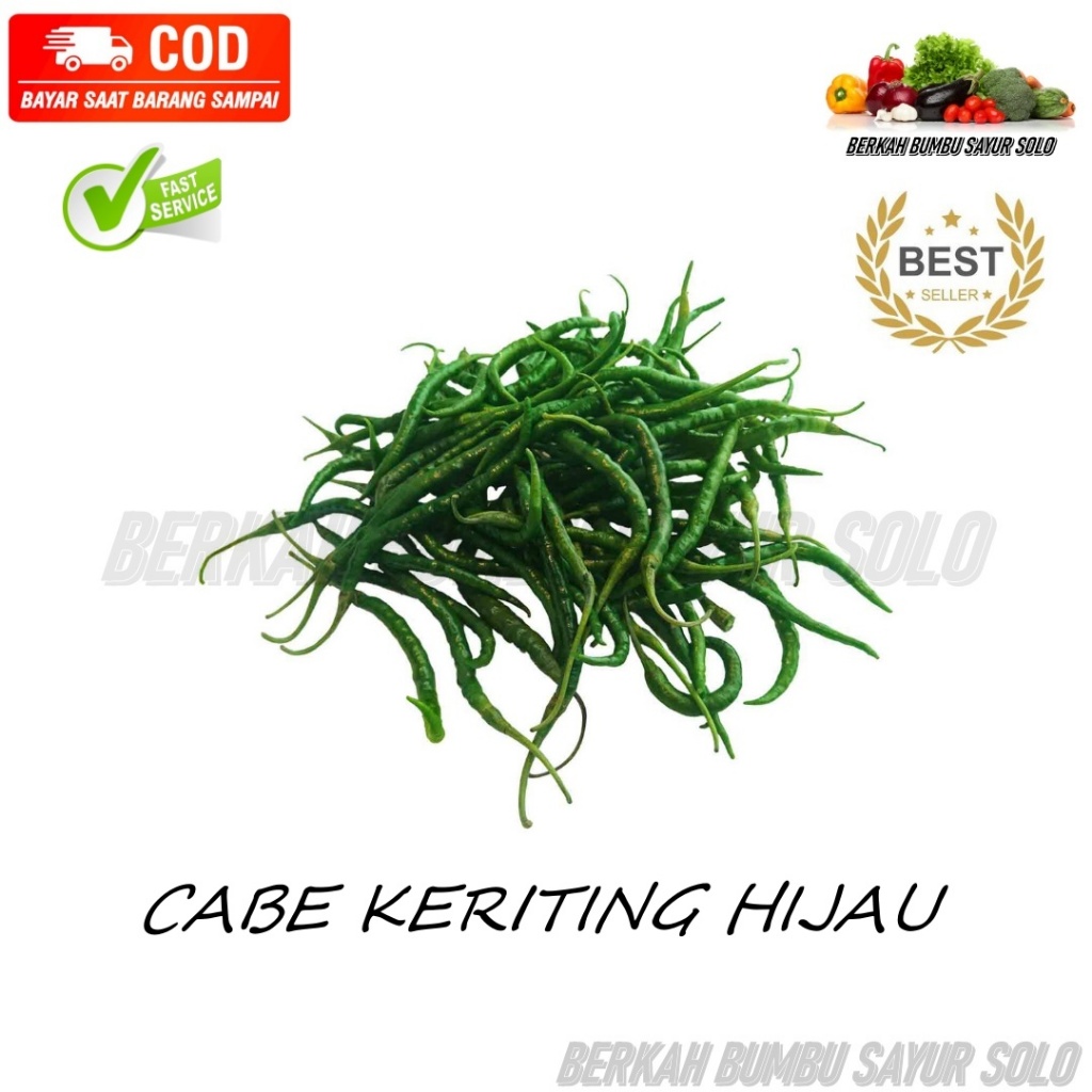 

CABE HIJAU KERITING (11)