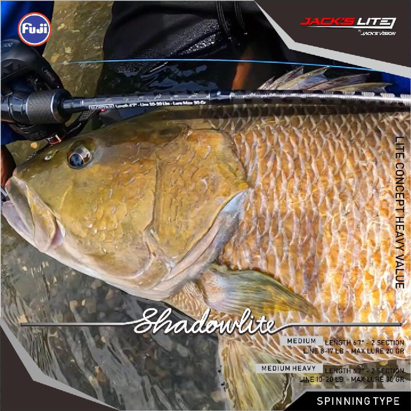 Joran Pancing Shadowlite 10-20 Lbs Spinning