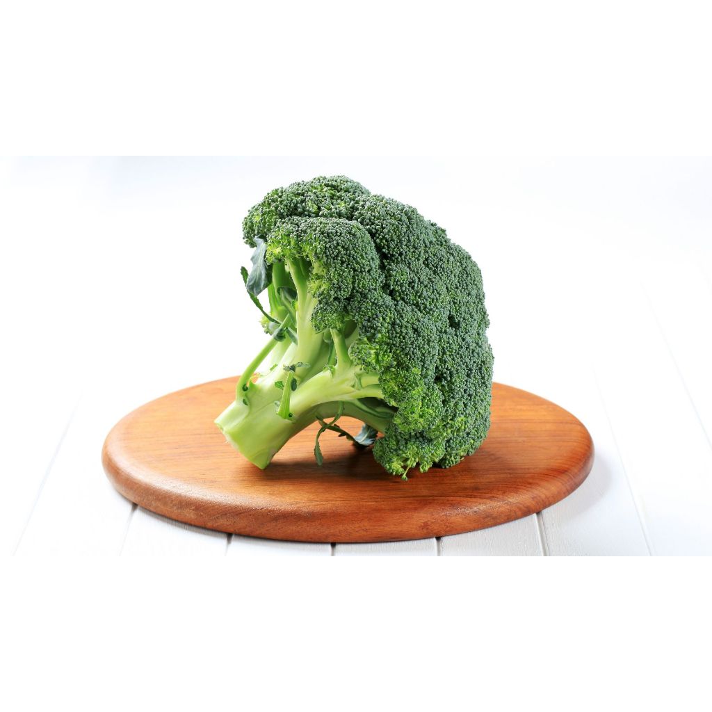 

Brokoli Segar | Fresh Broccoli