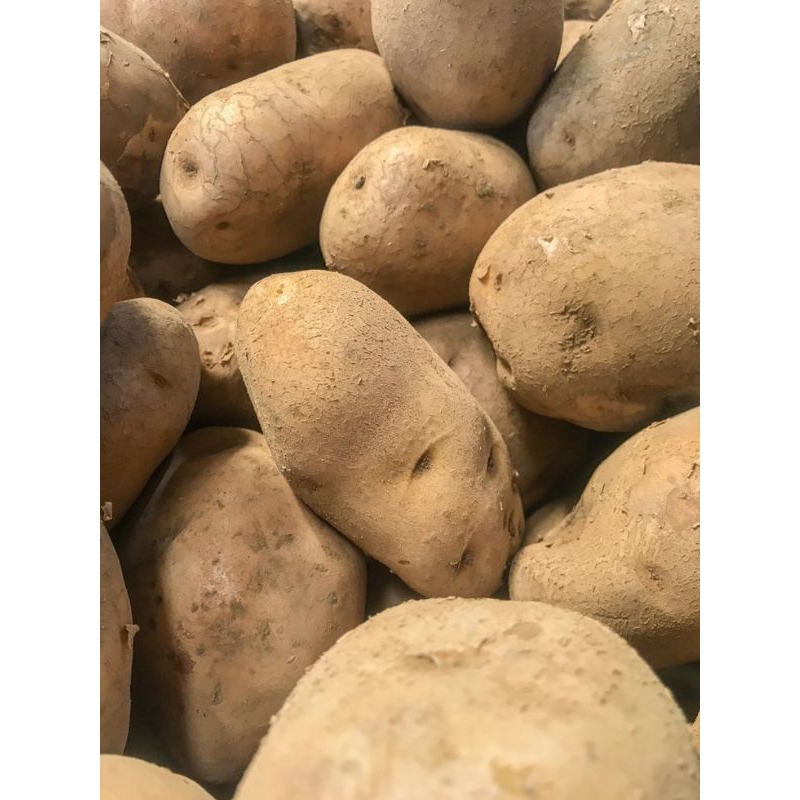 

Kentang Dieng Super Sortiran Grade A dan Super per 1kg