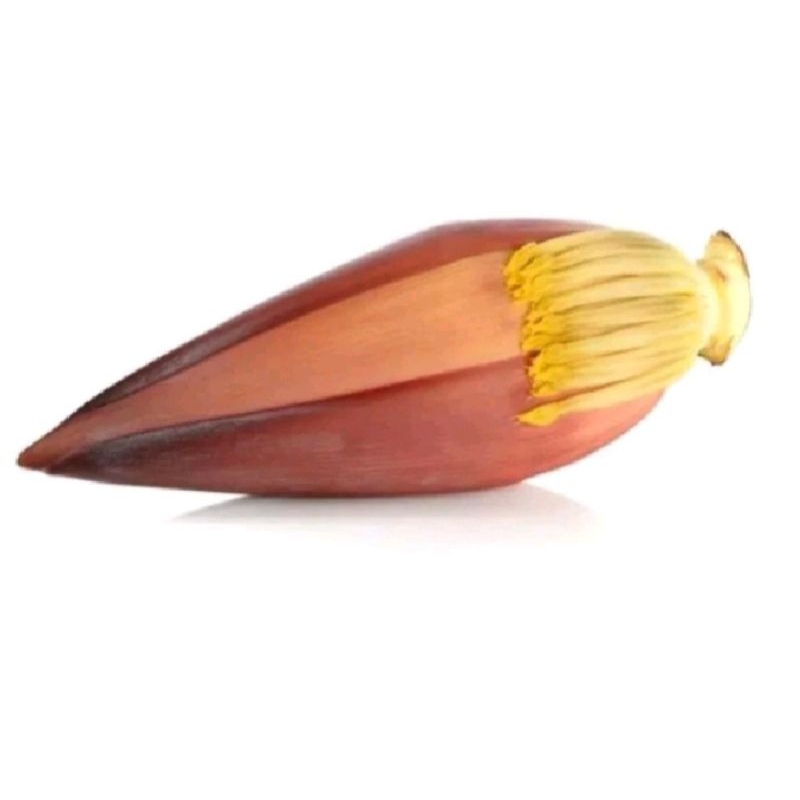 

Jantung Pisang