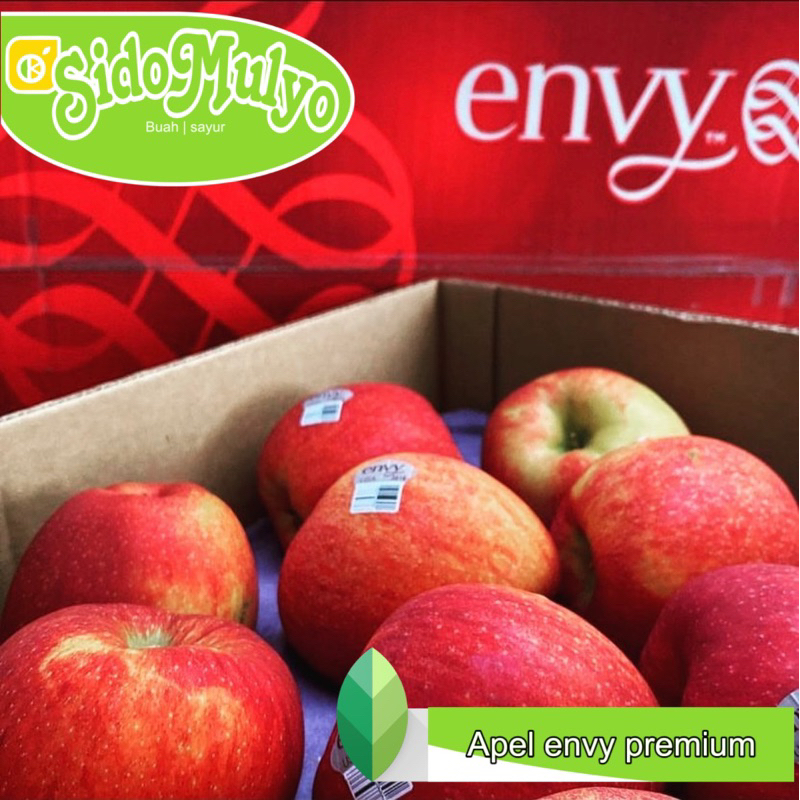 

Buah Apel ENVY New Zealand ( 1 kg ) | ud sidomulyo fresh