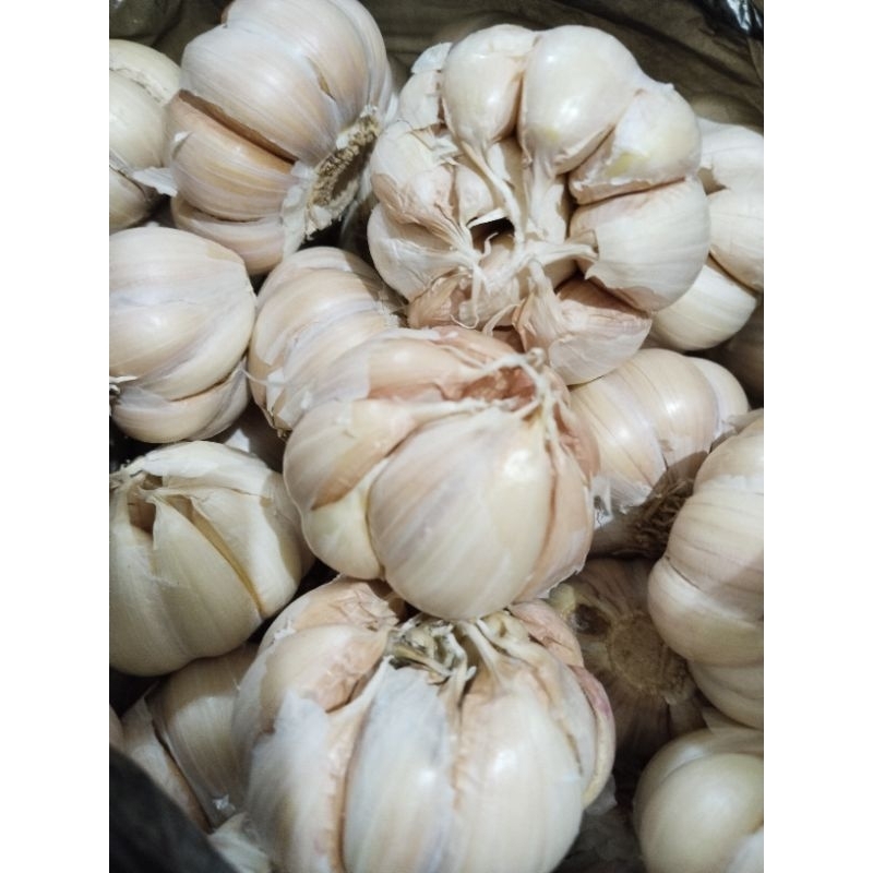 

Bawang Putih Bersih Premium 1kg