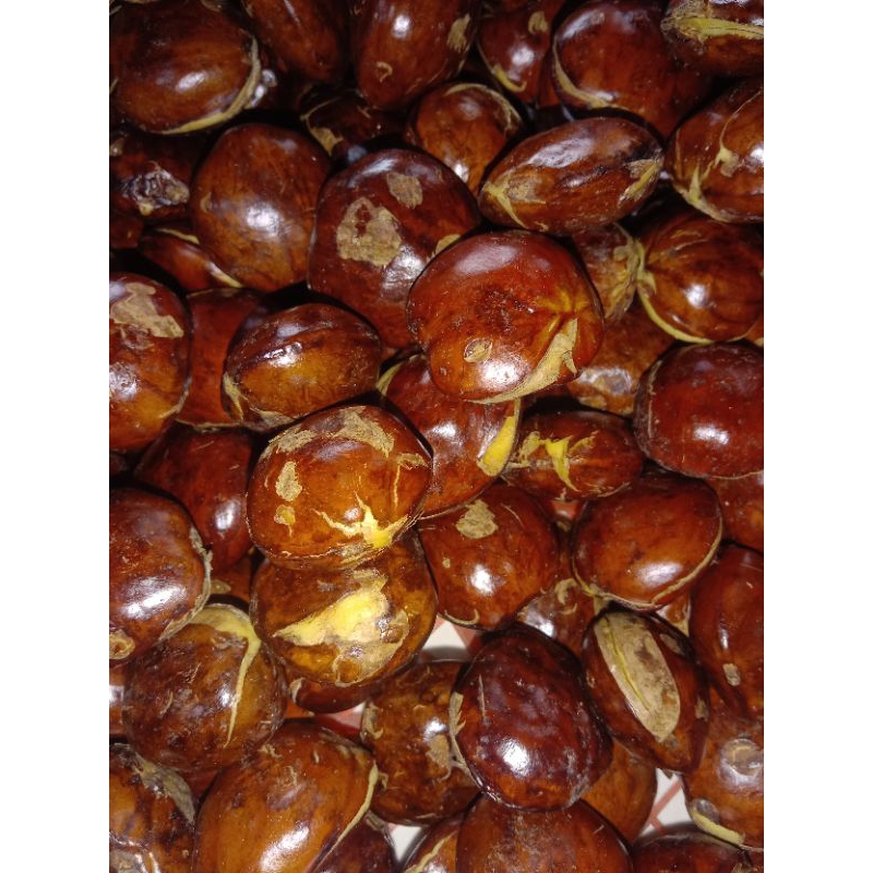 

Jengkol Jumbo Segar dan Fresh dari Sulawesi