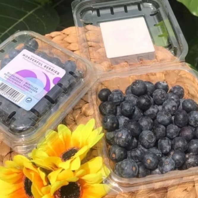 

BLUEBERRY SEGAR IMPORT 125 GRAM
