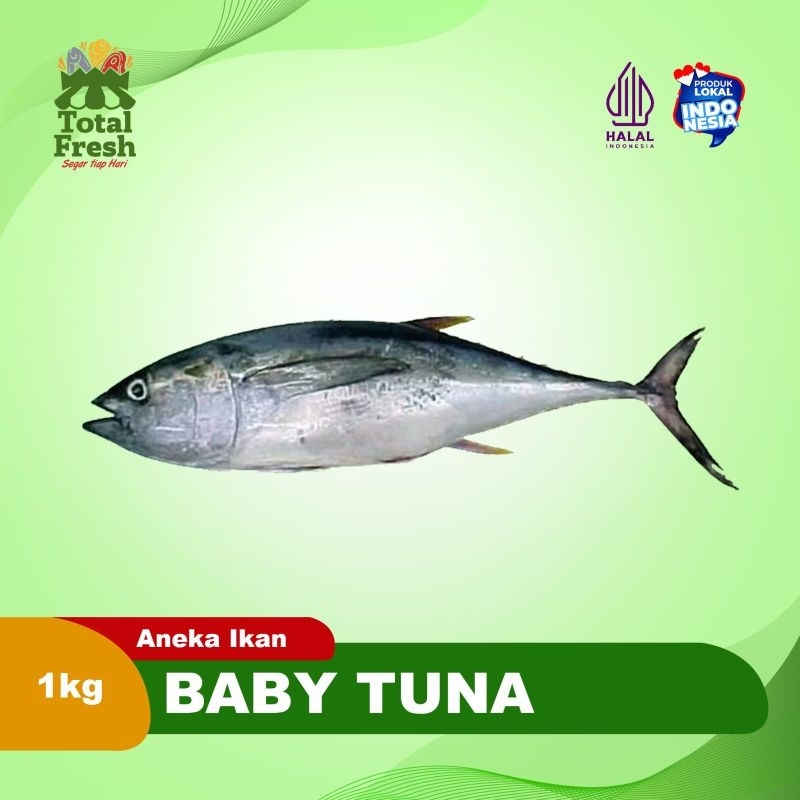 

Ikan Baby tuna 800 gr - 1000 gr
