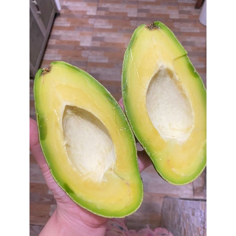 

ALPUKAT MENTEGA SUPER