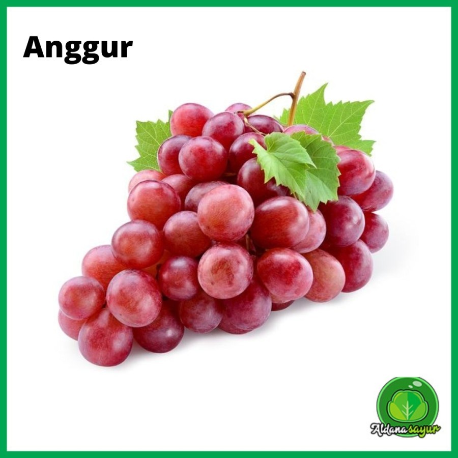 

Anggur aldana sayur garut 1kg