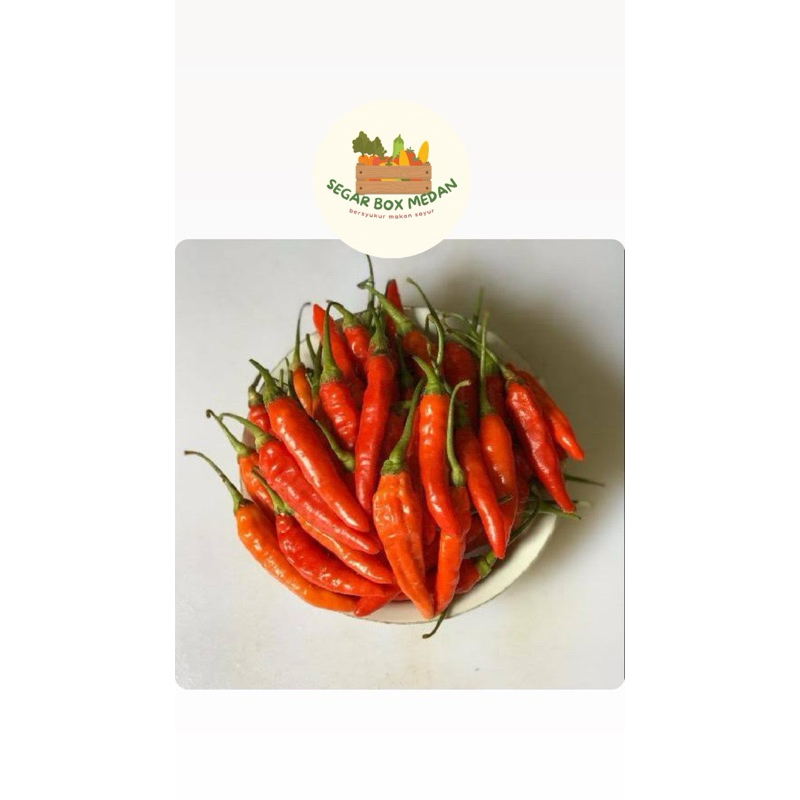 

CABAI MERAH CAPLAK 150-250 gr