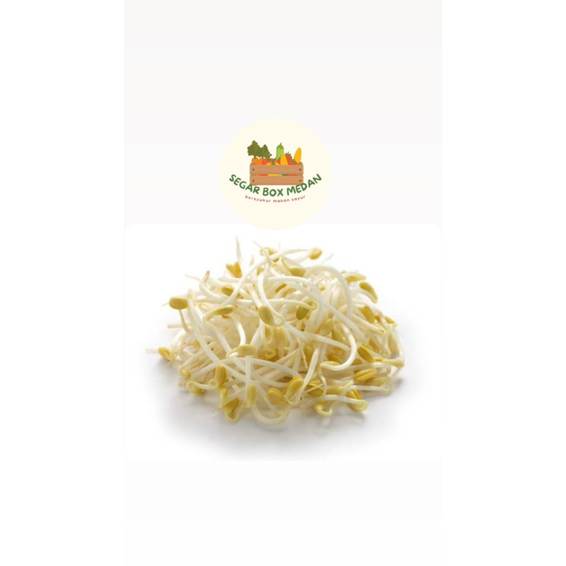 

TAUGE PUTIH 250-500 gr