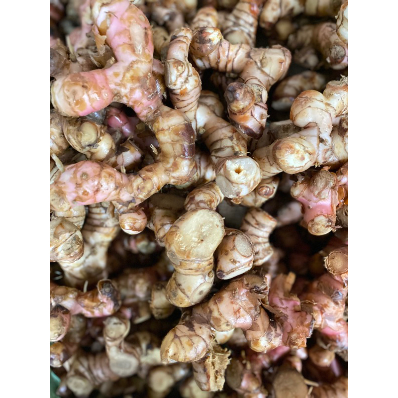 

Lengkuas 250 gr