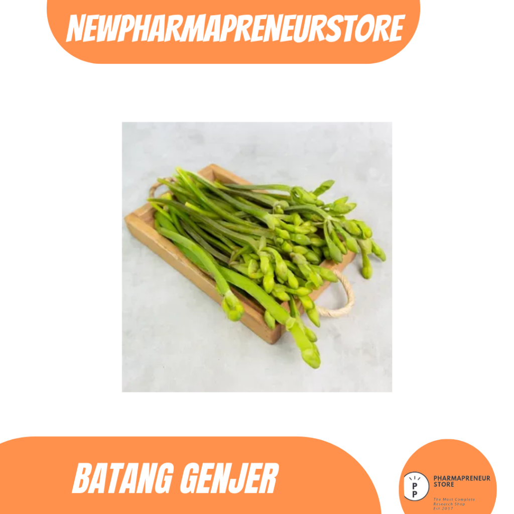 

DRIED SERBUK BATANG GENJER BEST QUALITY
