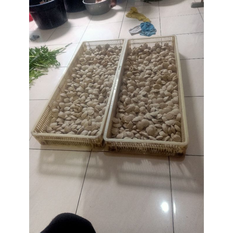 

Bakso Gepeng Sehati terbuat dari daging pilihan