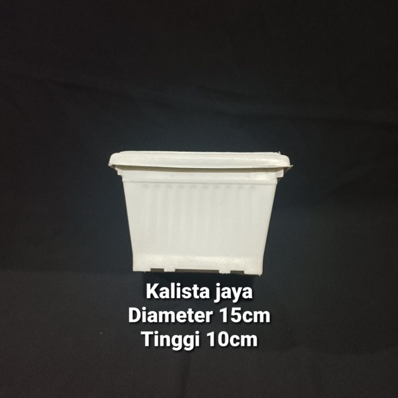 POT TANAMAN PLASTIK KOTAK PUTIH 15CM POT PLASTIK DIAMETER 15CM