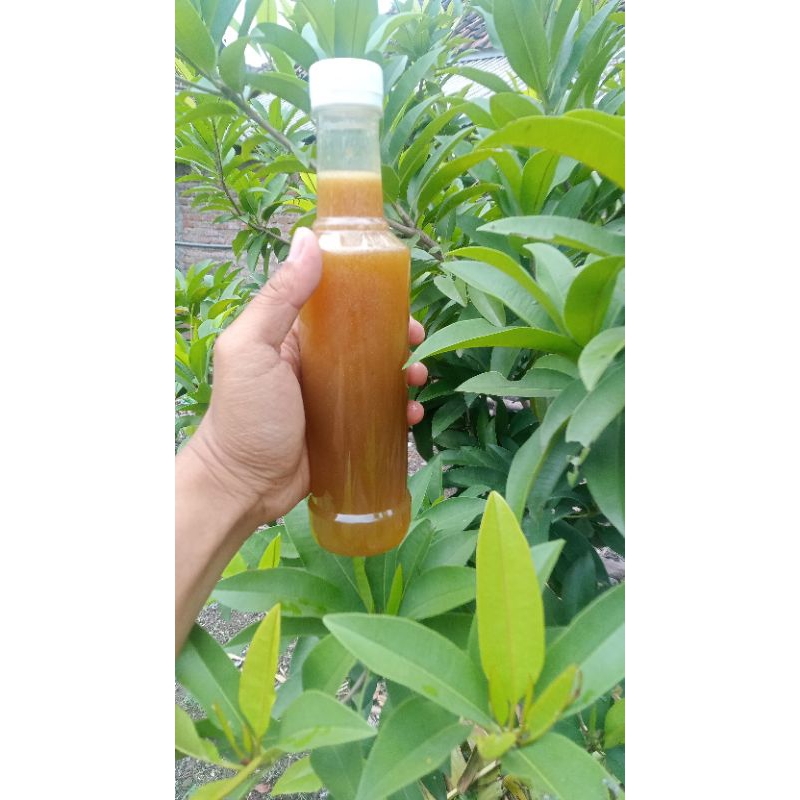 

madu asli