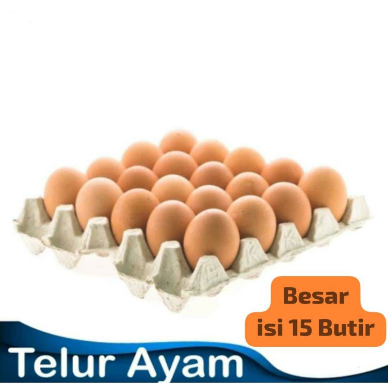

[INSTANT] Telur Ayam Eropa BESAR isi 15 Butir | Quality FRESH Egg