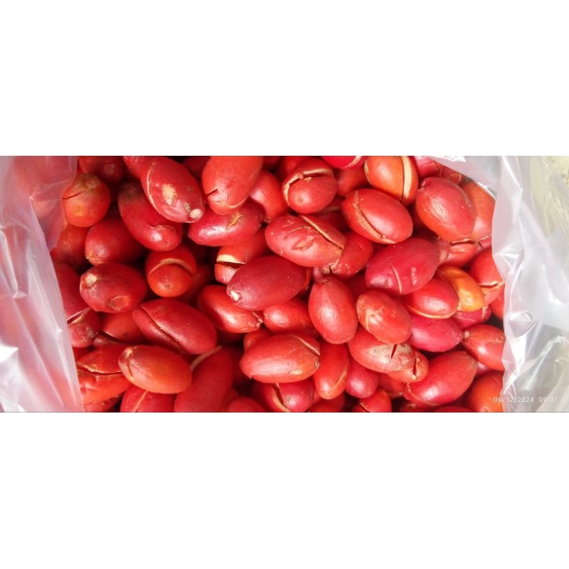 

Kulit melinjo/klethek segar
