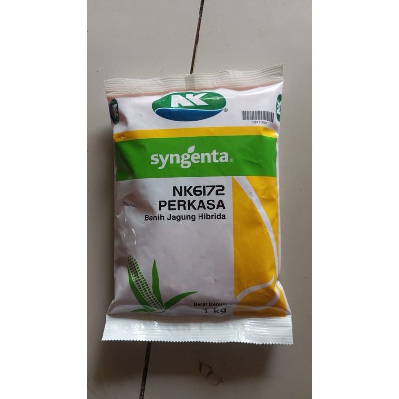benih jagung syngenta NK6172 PERKASA benih jagung hibrida 1kg