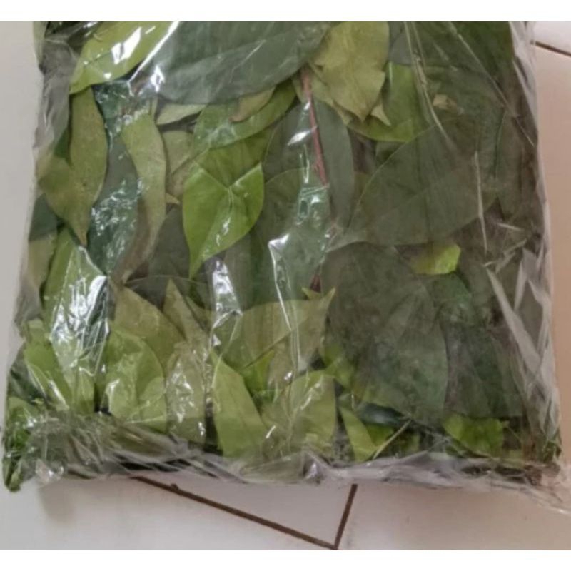 

Herbal Daun Basah GAHARU unggul Kalimantan 500grm