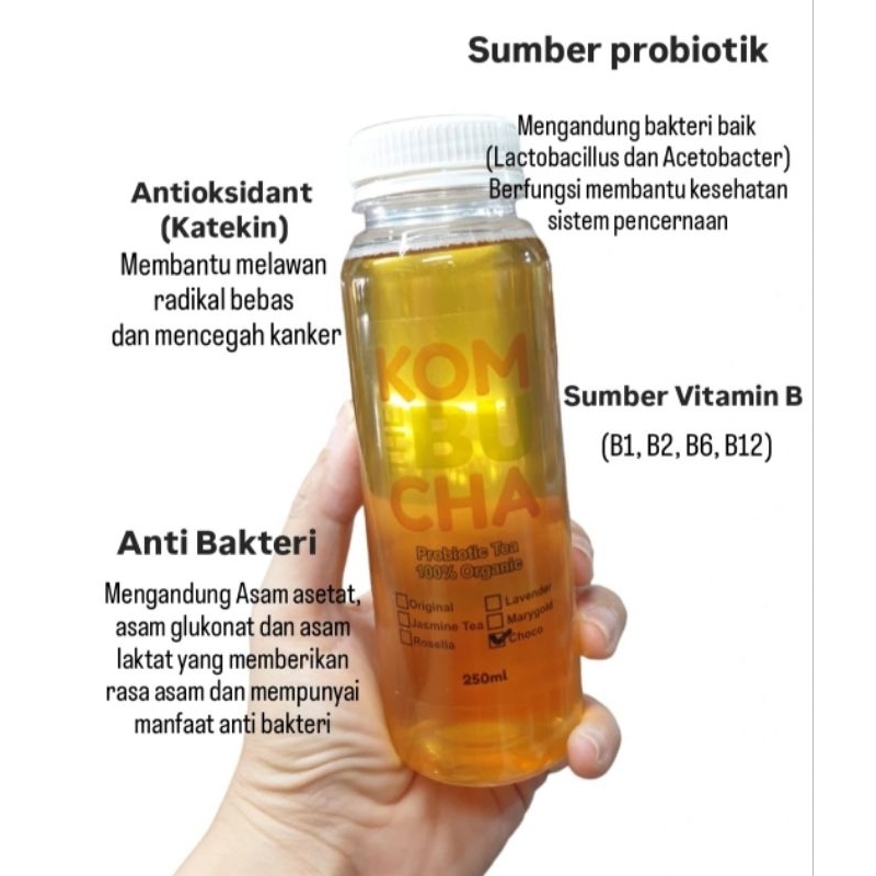 

Kombucha Minuman Probiotik