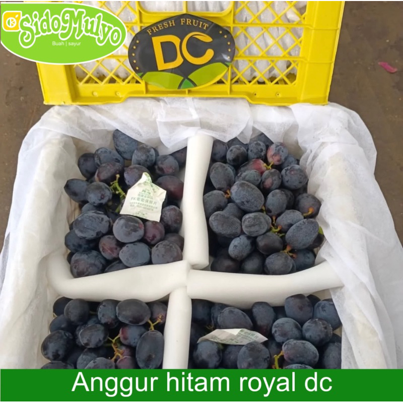 

lAnggur Hitam Royal DC fresh per 1 keranjang (manis) 4kg | ud sidomulyo fresh