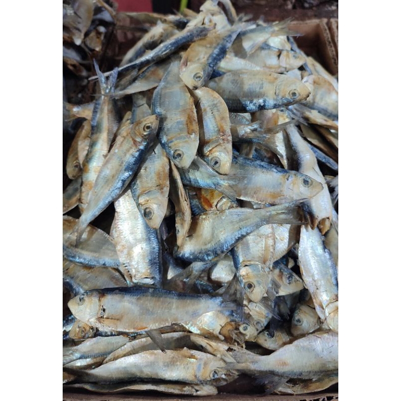 

ikan asin tembang premium 250/500 gram