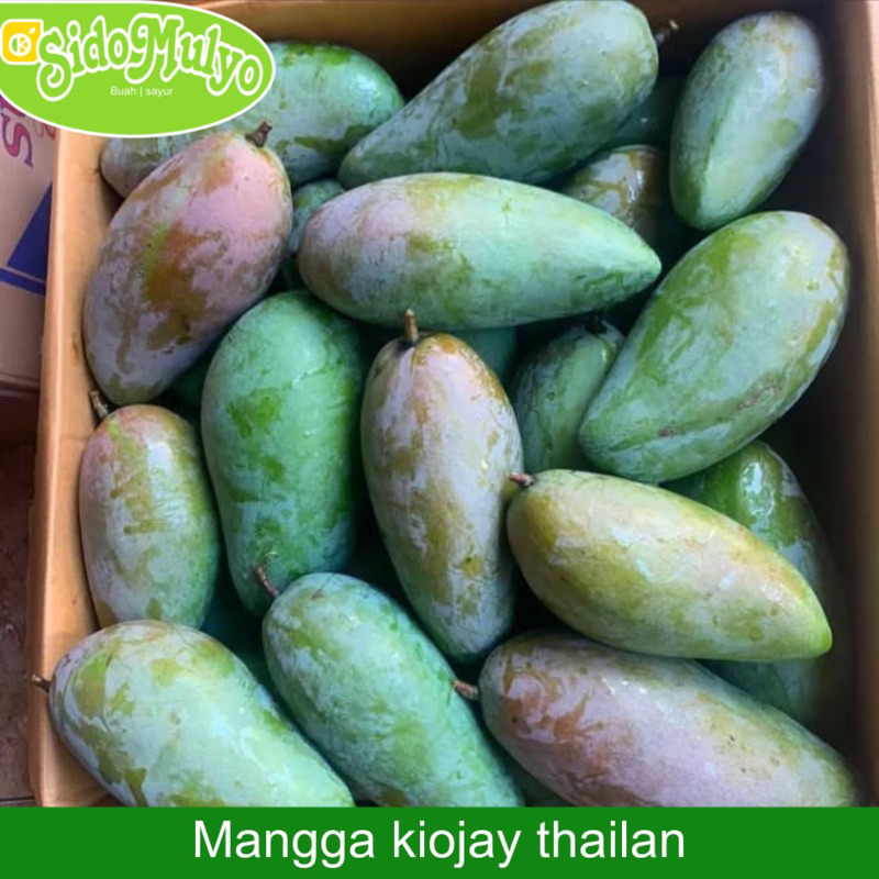 

Mangga kiojay thailand mengkal manis (1kg) | ud sidomulyo fresh