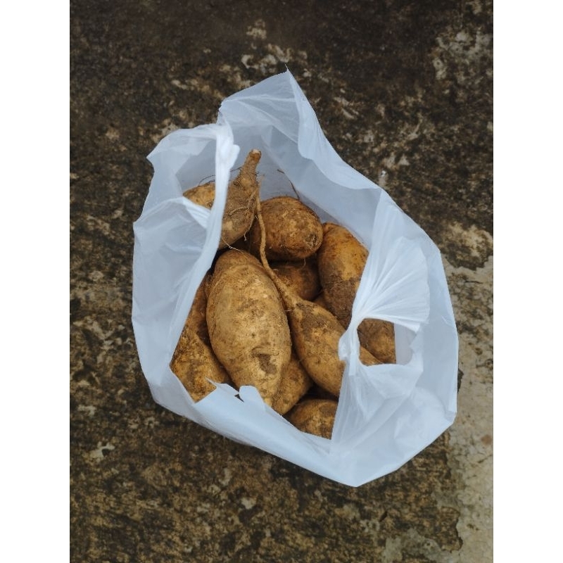 

ubi madu cilembu 1kg (minimal 2kg) agar bisa dikirim