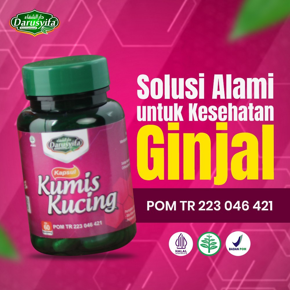 KAPSUL KUMIS KUCING DARUSYIFA  Kapsul Kumis Kucing Darusyifa