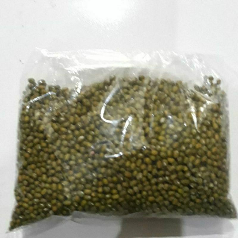 

Kacang hijau impor (Birma) 500 gram