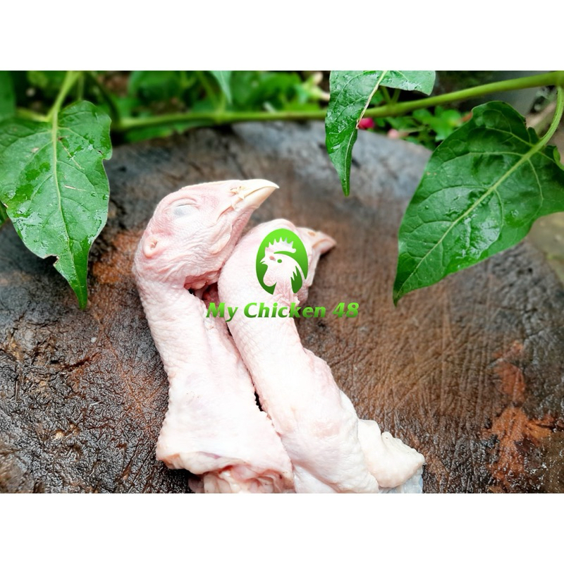 

Kepala Ayam 1kg Daging Ayam Potong Segar Fresh Frozen