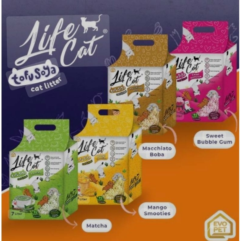 TOFU LIFE CAT