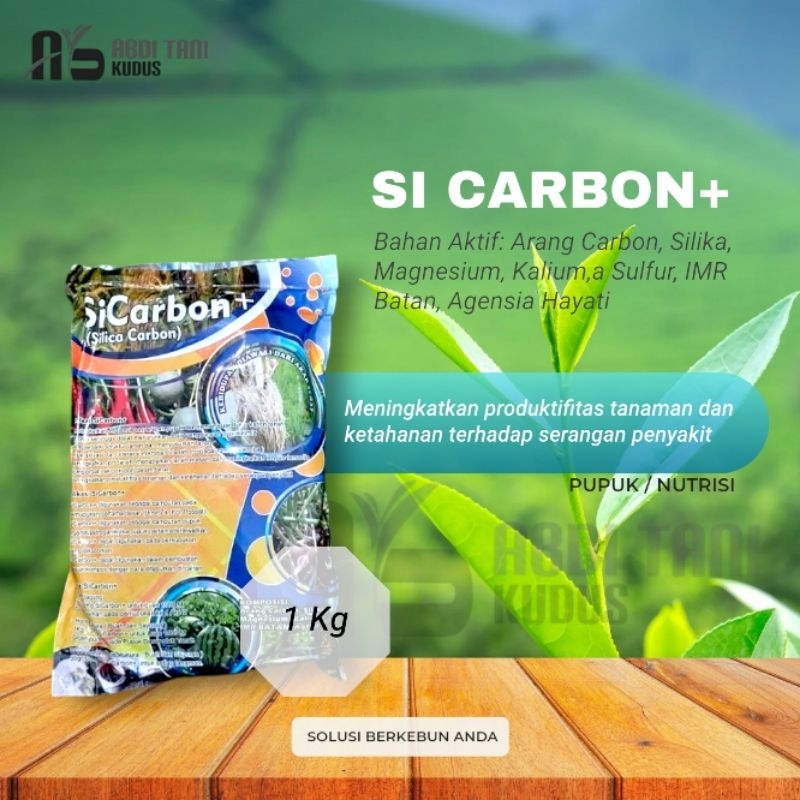 SICARBON + SILIKA CARBON 1 KG