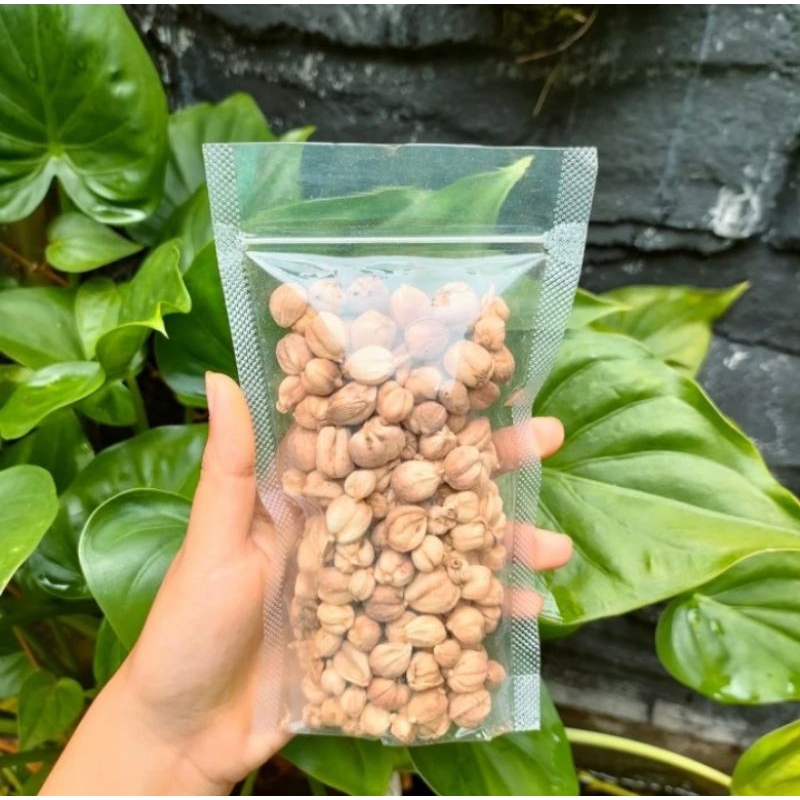 

KAPULAGA KERING 100 G MURAH MERIAH NYAMAN DI KANTONG