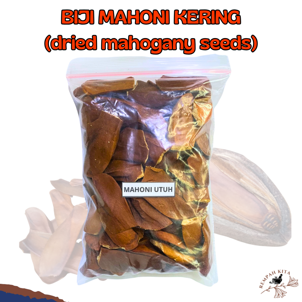 

Biji Buah Mahoni Kering Mahogani Xiang Tian Guo Sky Fruits Herbal Kolesterol Kemasan Plastik 100gram