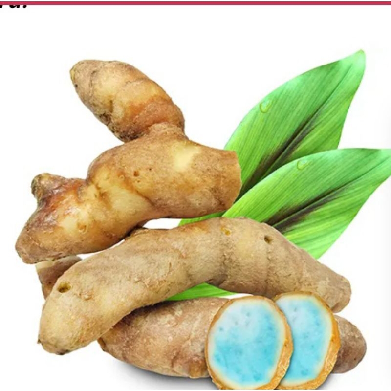 

Temu Ireng segar 1 KG