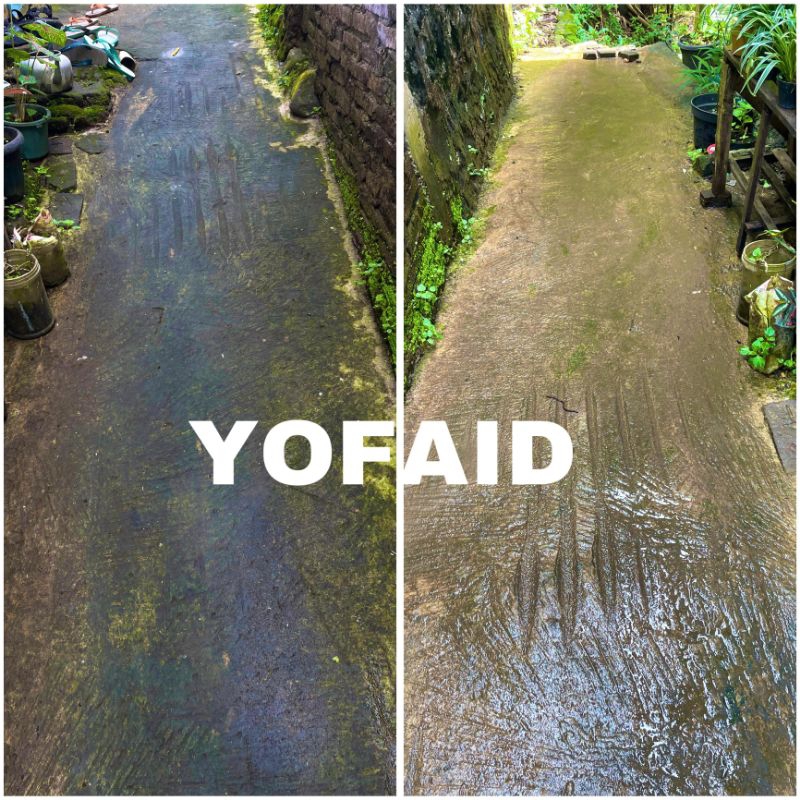 pembasmi lumut Mujarabsuper bersih