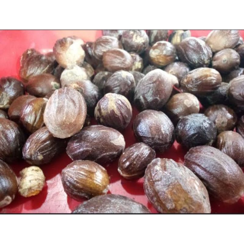 

BIJI PALA KERING 100gr/BUMBU REMPAH/BIJI PALA TERMURAH