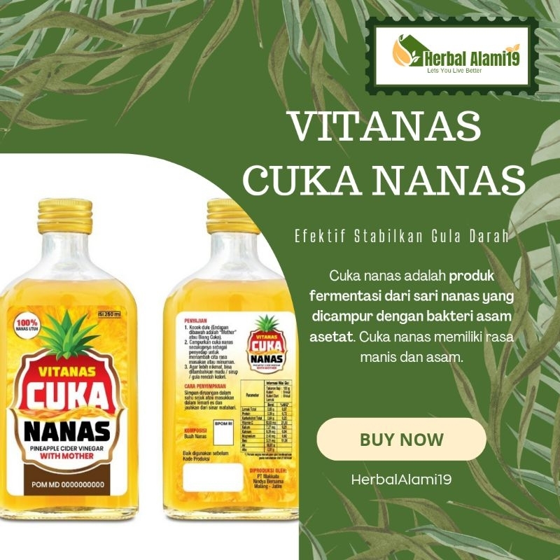 

Vitamin Nanas Cuka Nanas - Pilihan Tepat Atasi Gula Darah 250ml