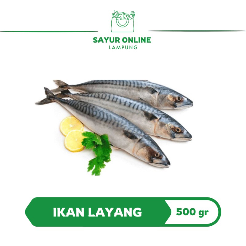 

Ikan Layang 500 Gr - Ikan Segar - Sayur Online Lampung