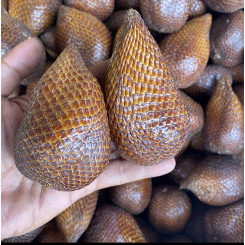 

Salak pondoh manis asli sleman per 1kg